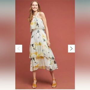 Anthropologie Garden Party Midi Dress